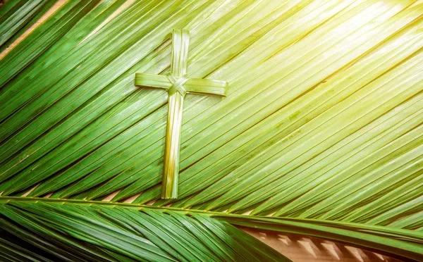 Palm Sunday Children’s Sermon 2014